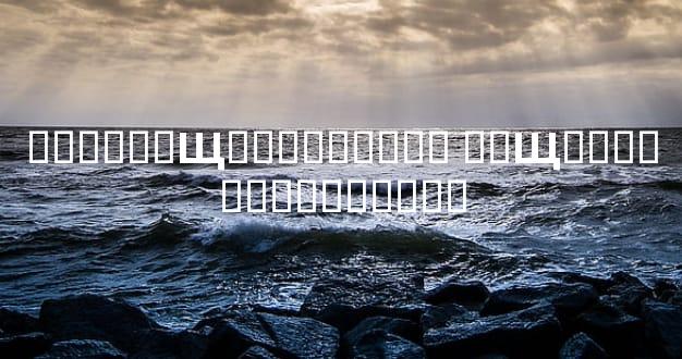 ���࿴��Щ��������� ��Щ��������������